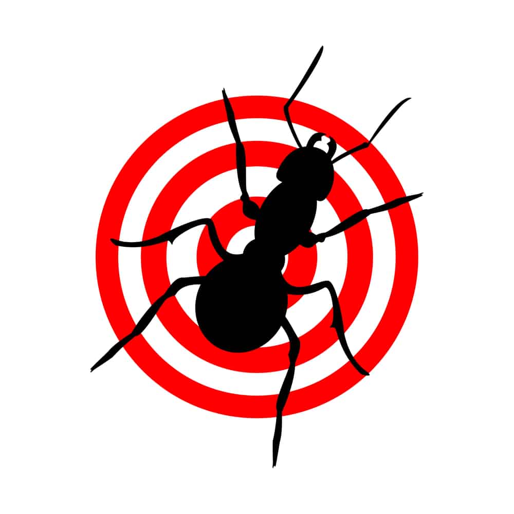 הגנה על ציוד ורהיטי הגינה מפני הגשם