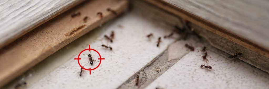 הגנה על ציוד ורהיטי הגינה מפני הגשם