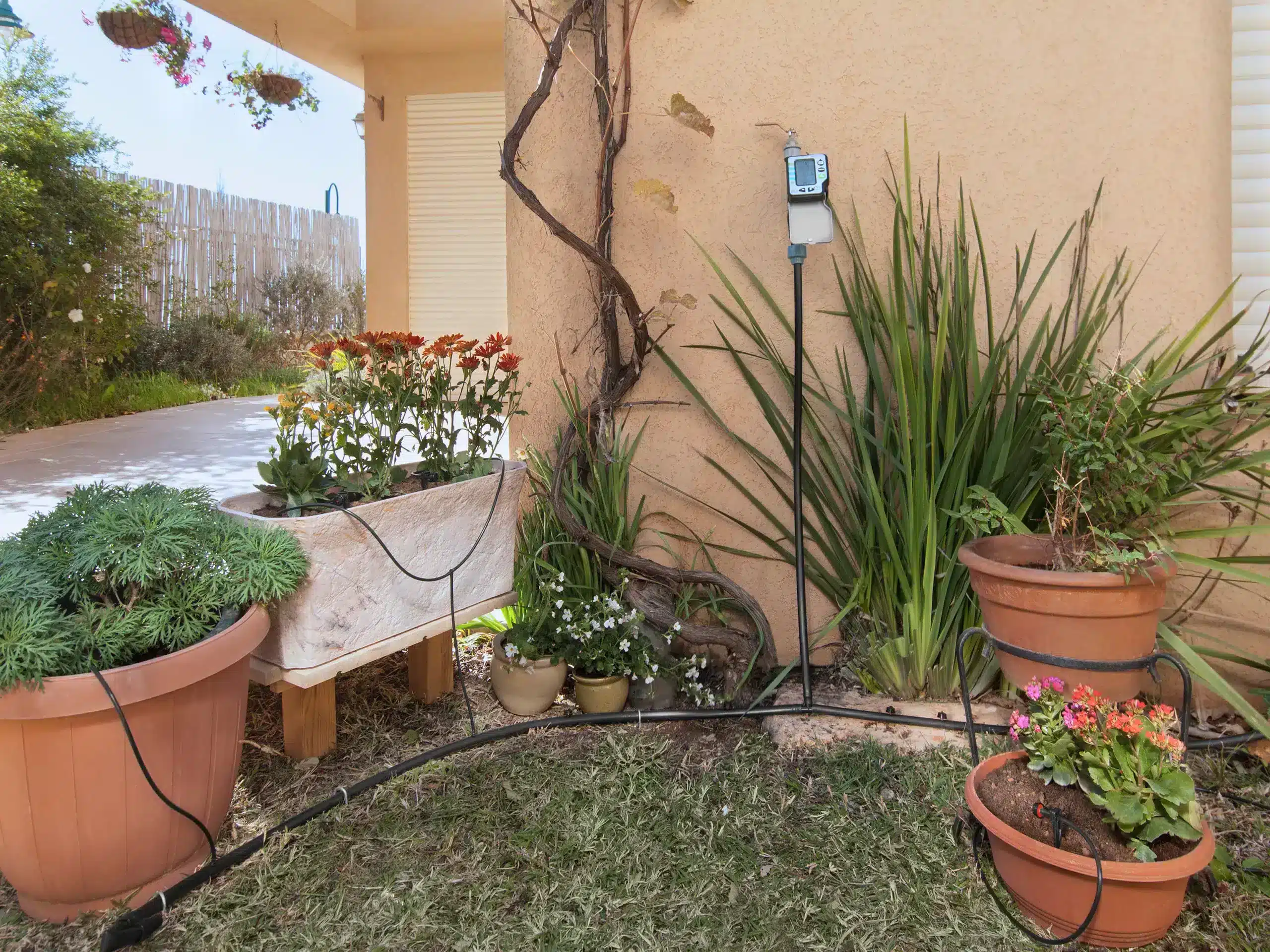 מערכת השקיה אוטומטית AMICO