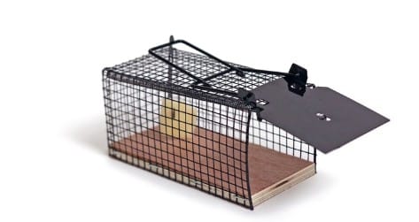 מיני מאוס מלכודת עכברים הומנית