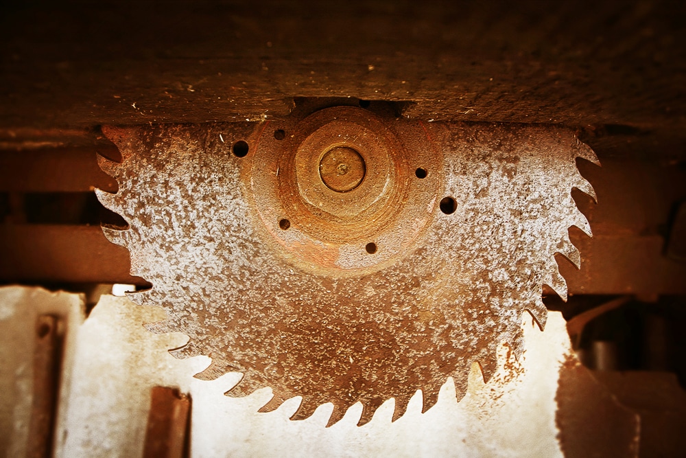 כל מה שרציתם לדעת על סוגי מסורים והשימוש בהם ולא היה לכם את מי לשאול