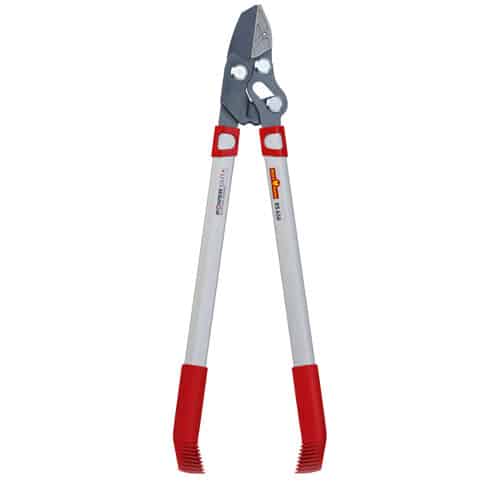 מזמרת ענפים סדן RS 650