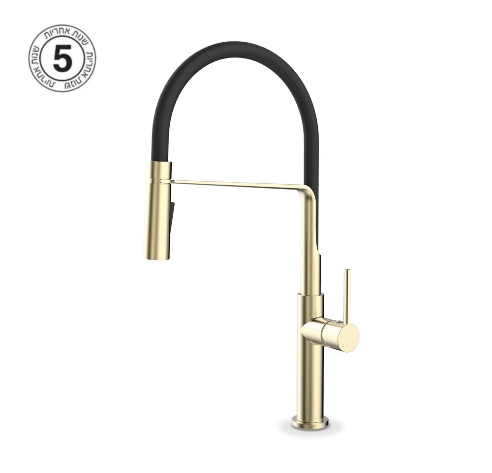 ברז מיקסר למטבח P5 זהב