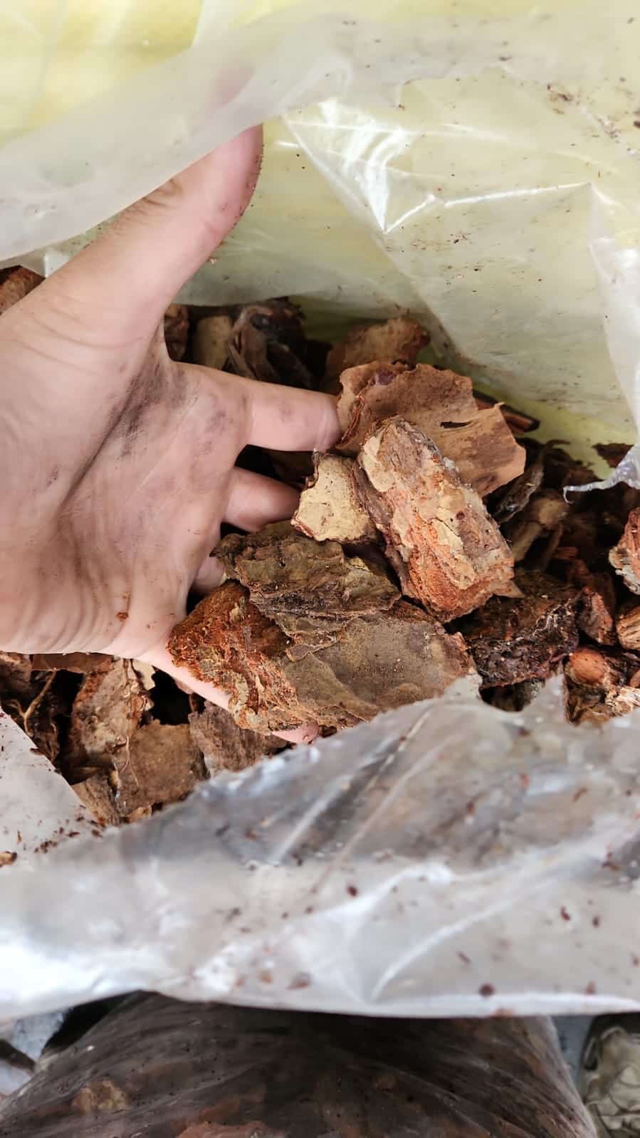 שבבי עץ לחיפוי קרקע שק 50 ליטר