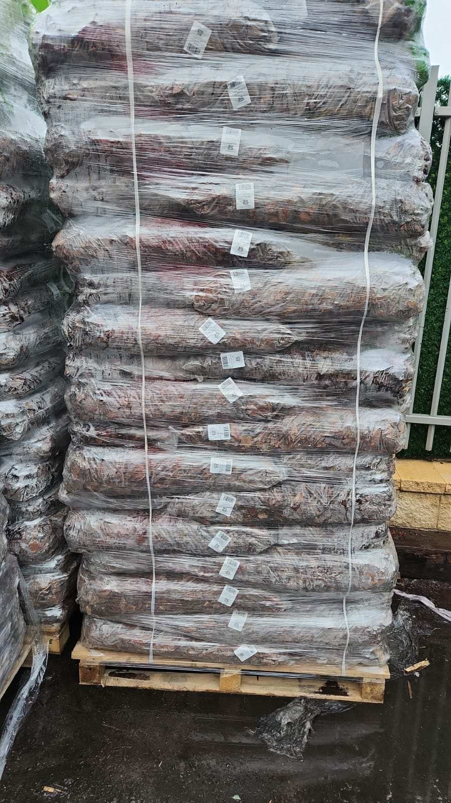 שבבי עץ לחיפוי קרקע שק 50 ליטר