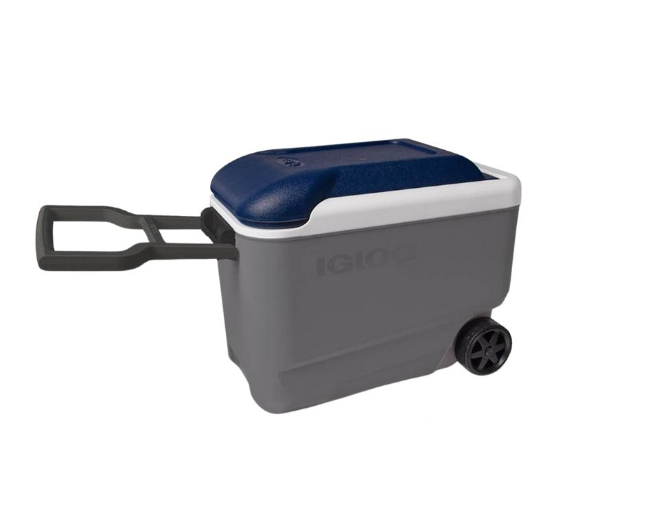 צידנית קשיחה עם גלגלים 37 ליטר דגם IGLOO | MAXCOLD